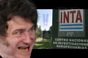 Cierre de la EEA AMBA del INTA: la incomprensión hecha política
