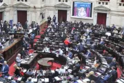 Quiénes son los nuevos diputados que asumirán el 10 de diciembre
