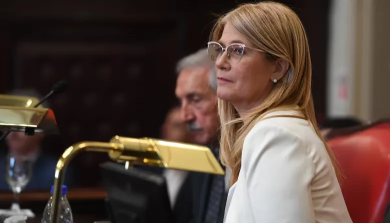 Reforma política frena Senado bonaerense