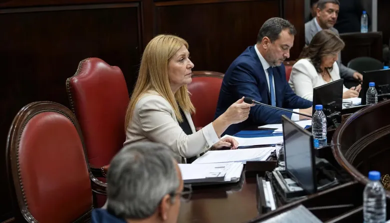 El Senado bonaerense rompe dos meses de siesta forzada en medio de un polvorín oficialista