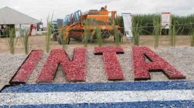 ¿Qué pasa con el INTA Ituzaingó y por qué genera tanta preocupación?