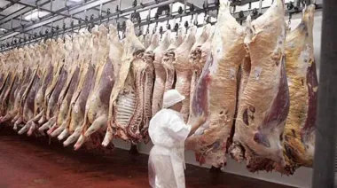 Crisis en el Frigorífico Pico: deudas millonarias, suspensiones y temor al cierre