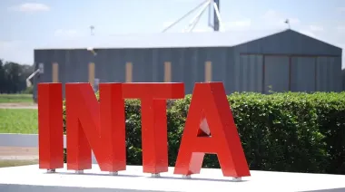 Milei acelera recortes en el INTA y avanzan 27 mil desvinculaciones estatales