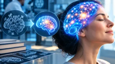 Neuroplasticidad: la ciencia reveló el plan para resetear la memoria