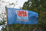 Polémica por el INTA: diputados denuncian ataque a su estructura técnica y autónoma