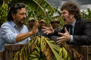 Guerra de la banana: Sáenz le plantó bandera a Milei por una desregulación peligrosa