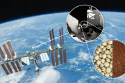 Semillas espaciales de la NASA: el experimento que desafió la radiación cósmica